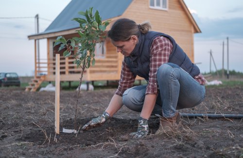 Woman Planting Tree