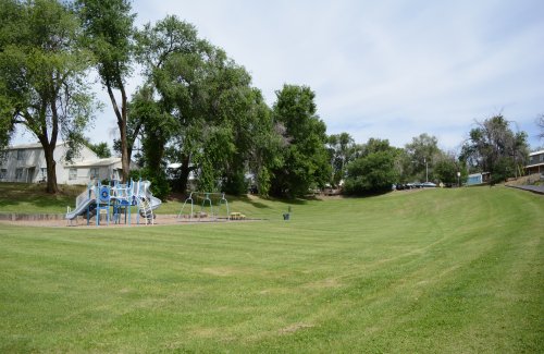 photo of park