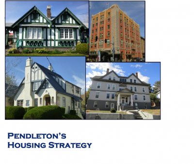 Housing Strategies Report