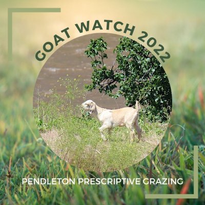 Goat Watch 2022 logo
