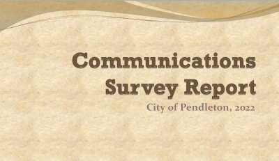 Survey Report Graphic