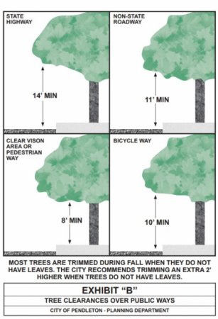 Street Trees Graphic
